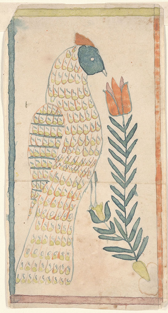 Drawing (Bird with Tulip)