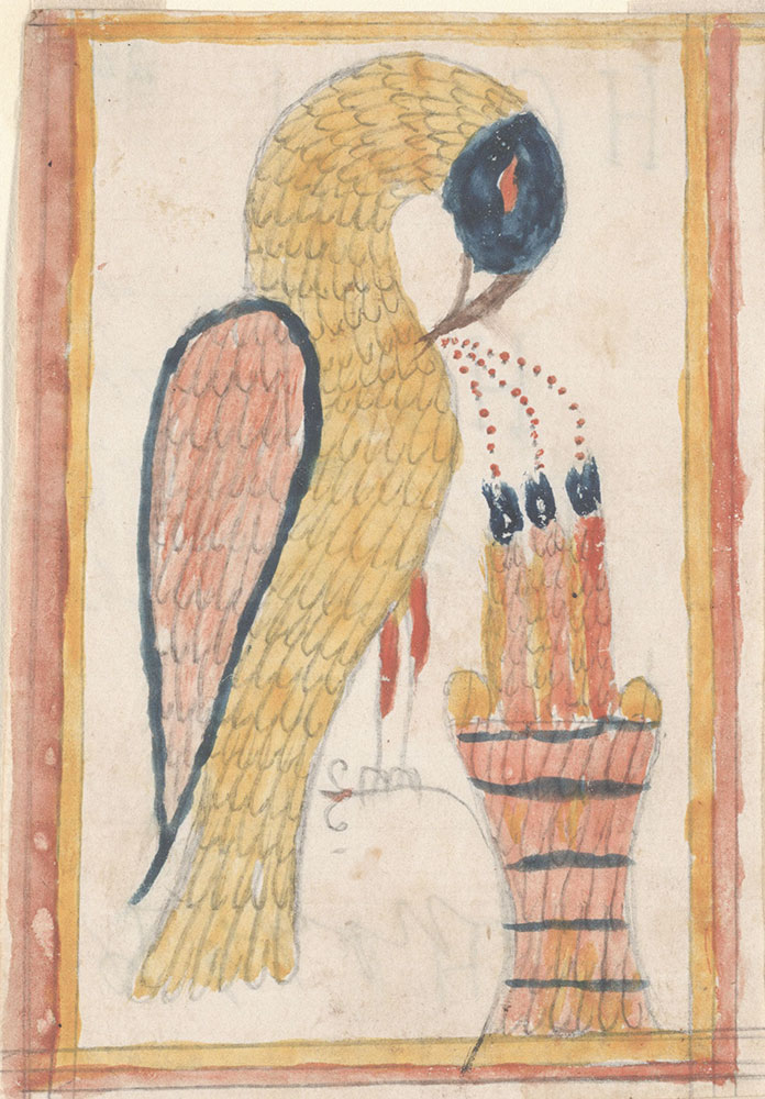 Drawing (Pelican in its Piety)