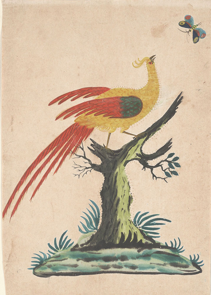 Drawing (Bird of Paradise and Butterfly)