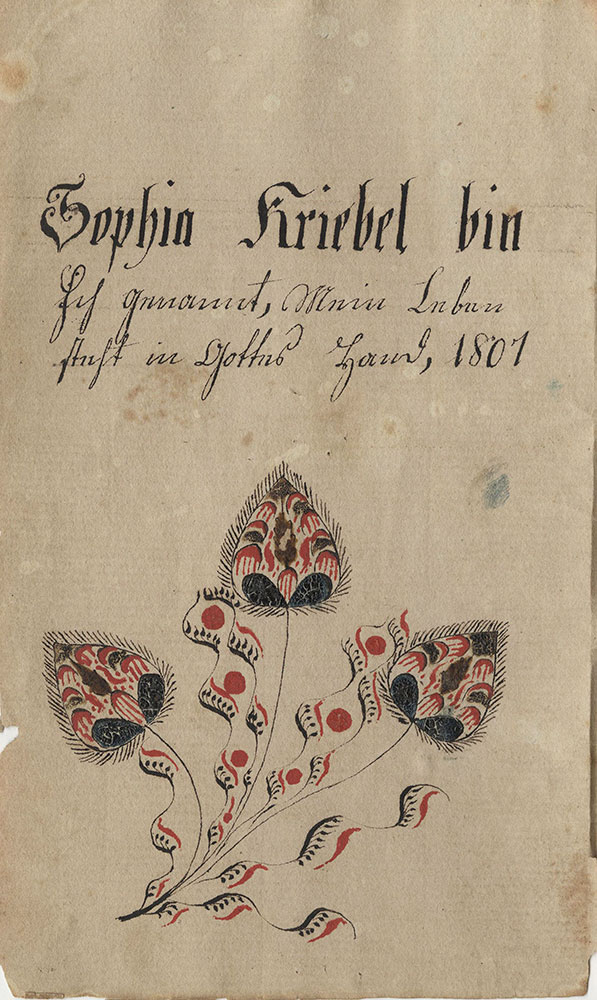 Sophia Kriebel bin ich genannt...1801