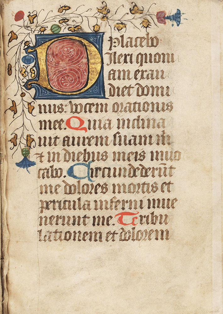 Book of Hours, use of Mons