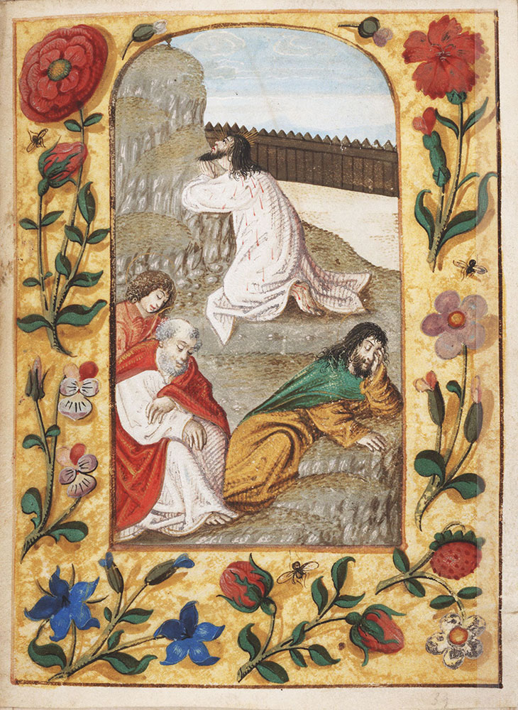 Scenes from the Life of Christ