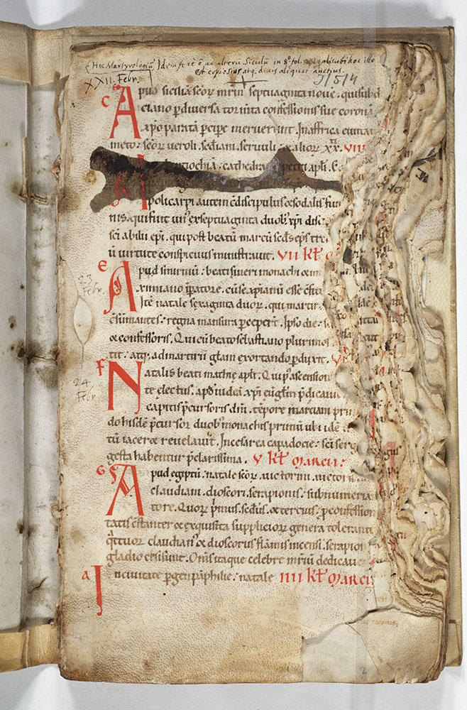Fragment of a Martyrology