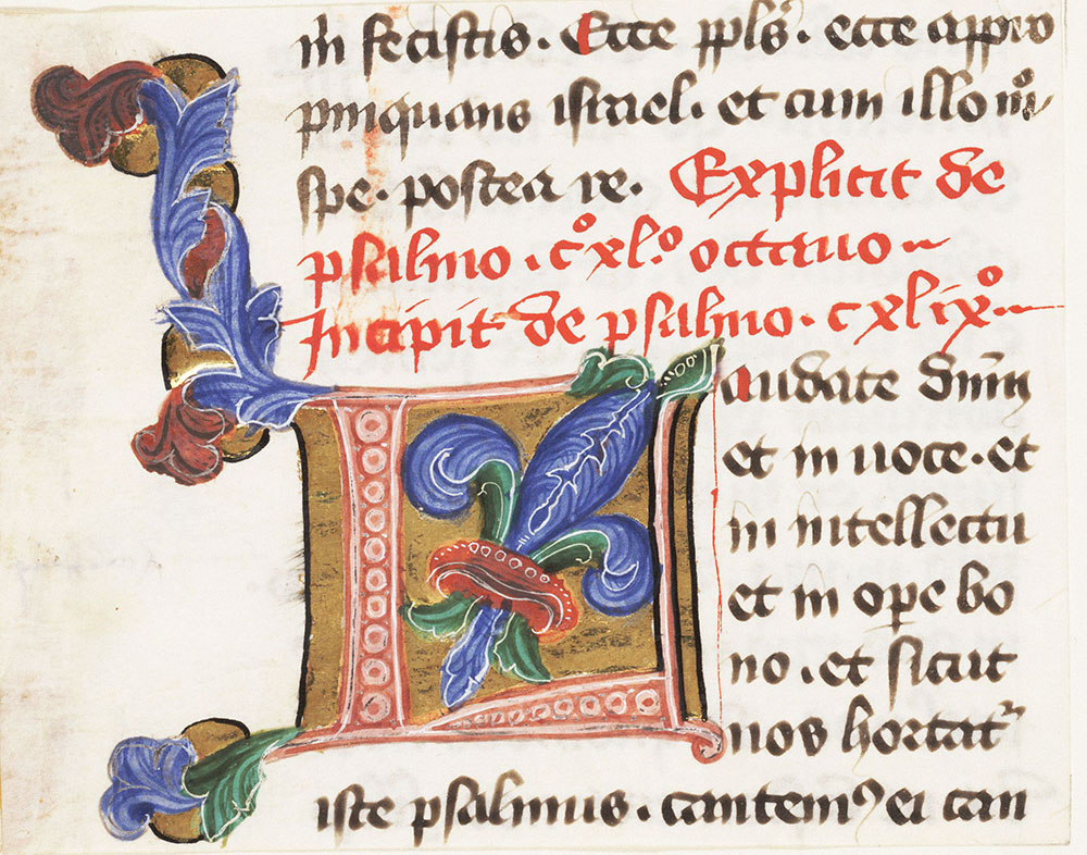 Enarrationes in psalmos (Expositions on the Psalms)