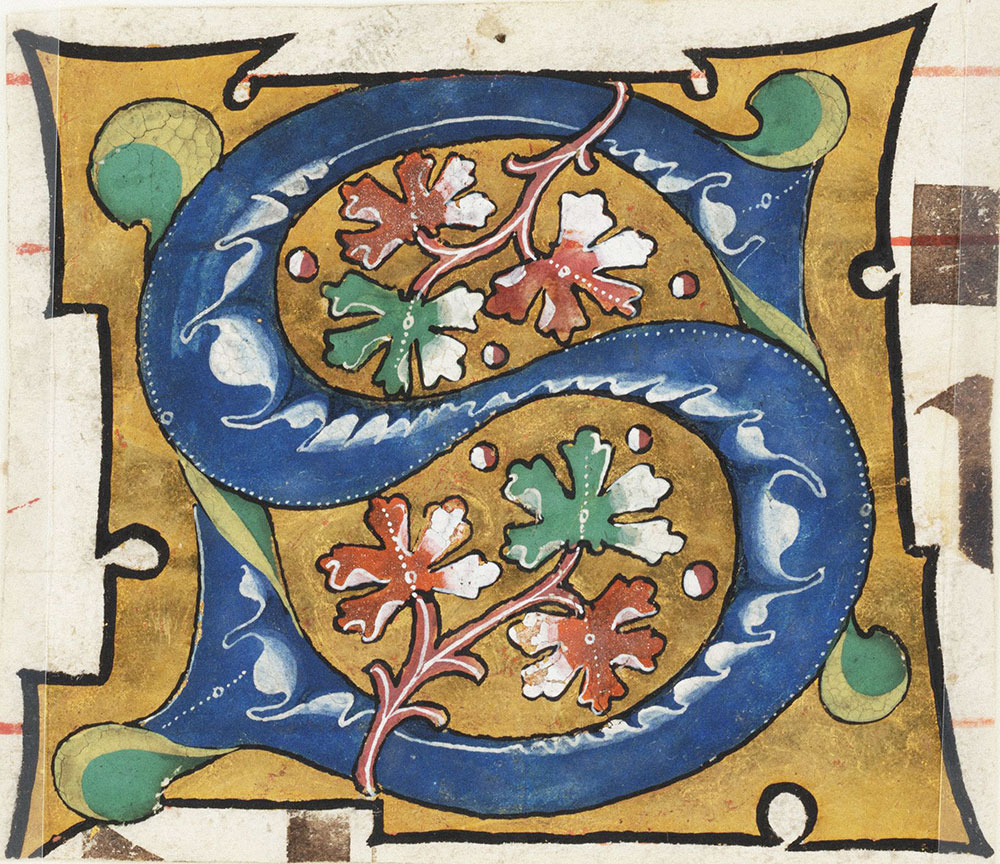 Decorated initial S