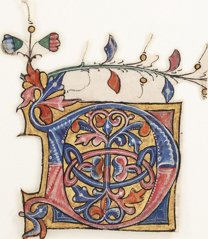 Decorated initial D