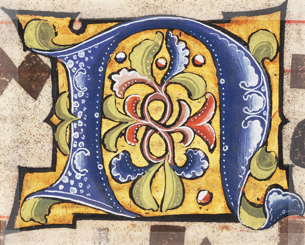 Decorated initial N