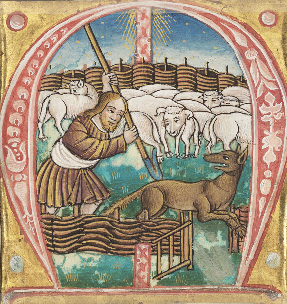 Historiated initial M depicting the parable of the Good Shepherd