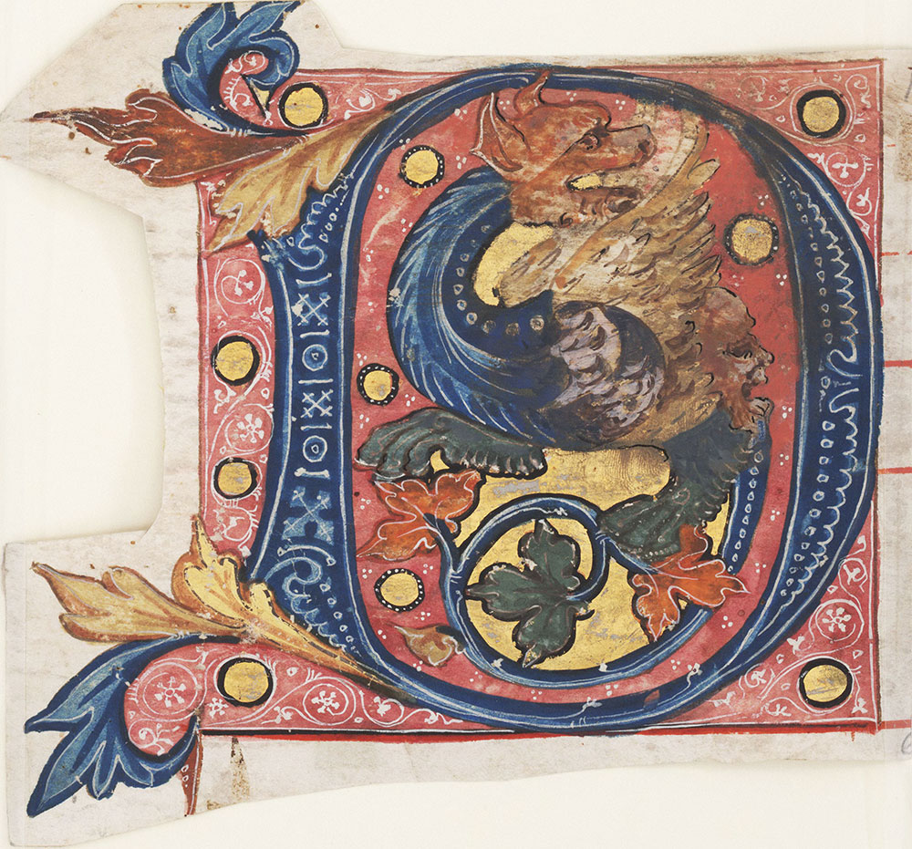 Decorated initial D