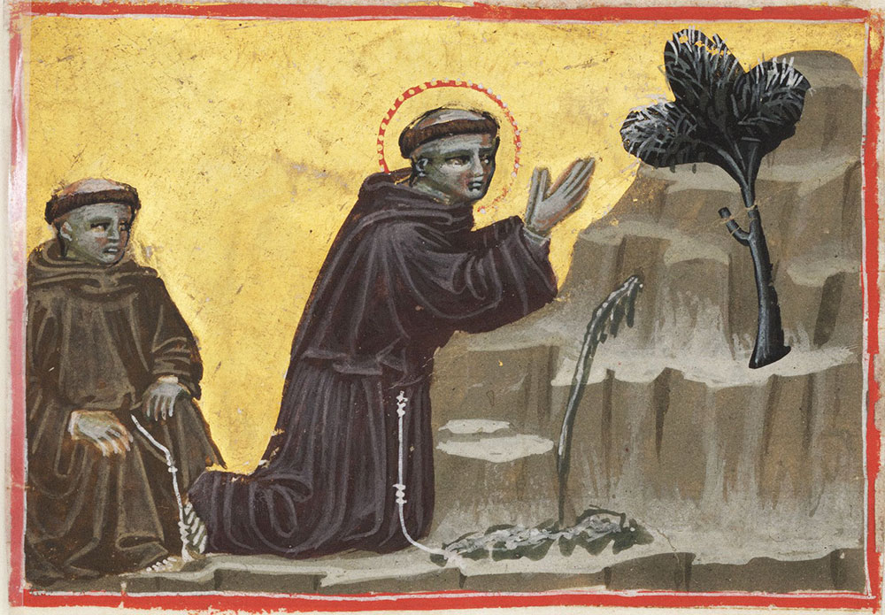 St. Francis exalts the spring and the tree
