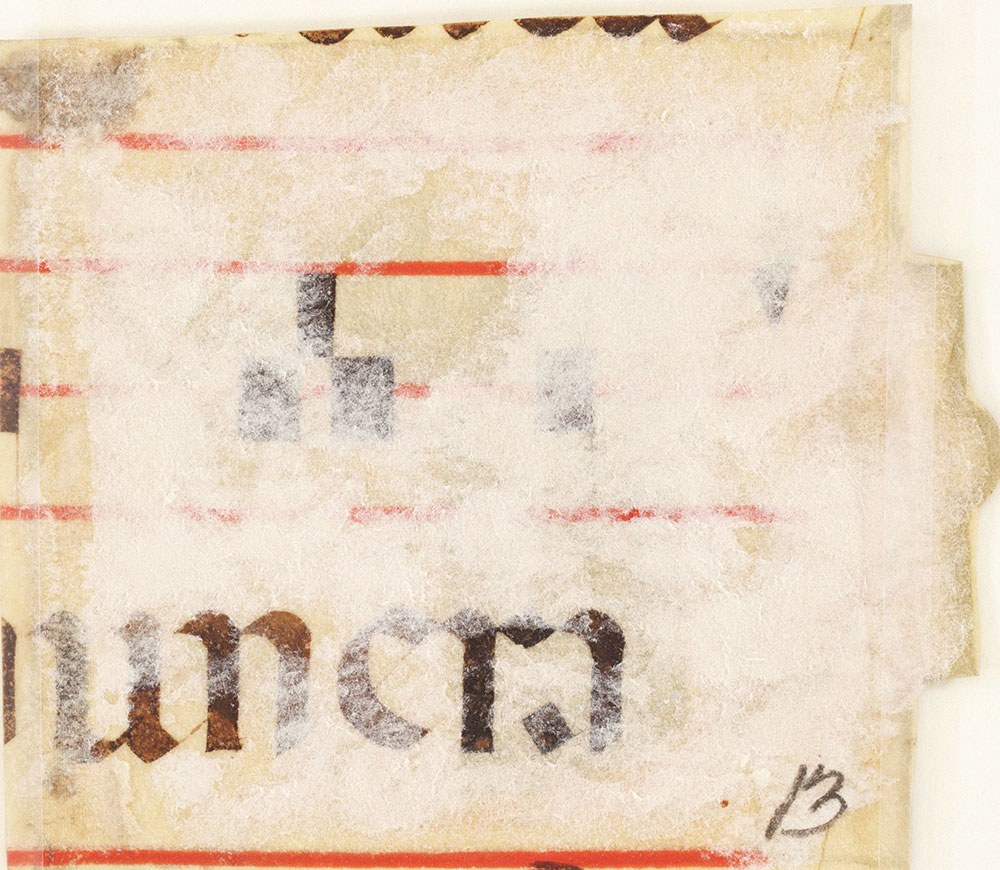 [Medieval Manuscript Fragment]