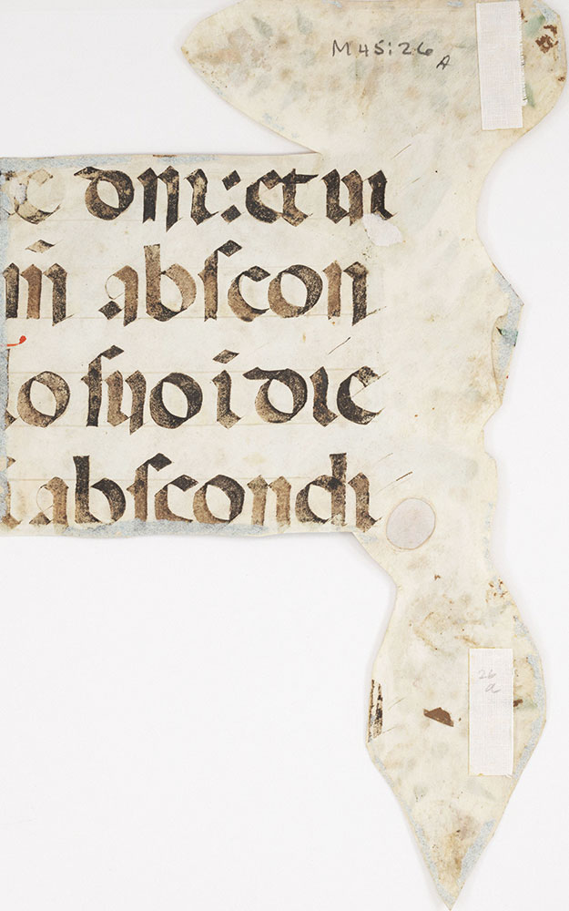 [Medieval Manuscript Fragment]