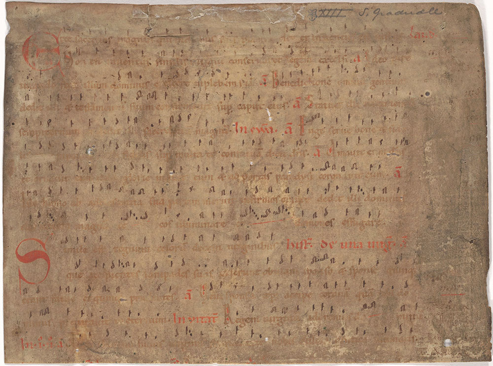 [Antiphonary for the feast of a virgin]