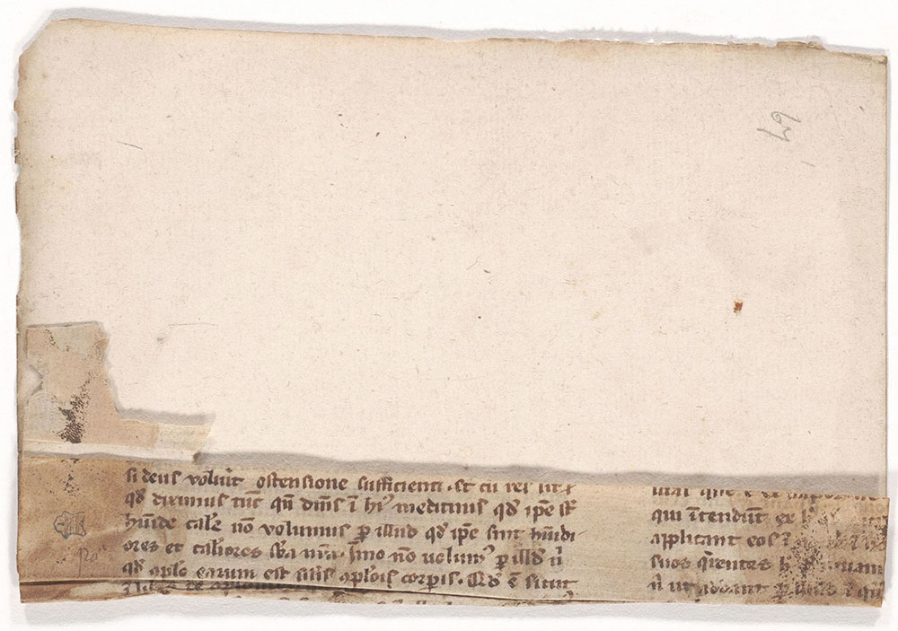 [Fragment attached to a paper fly-leaf: Medical text]