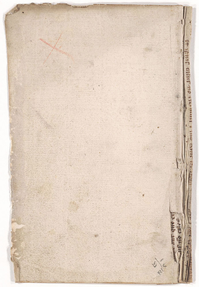 [Fragment attached to a paper fly-leaf: Medical text]