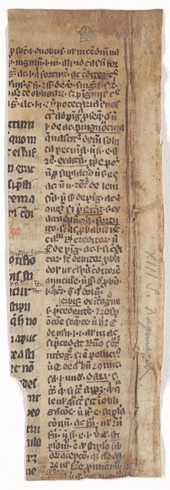 [Legal fragment with marginal commentary]