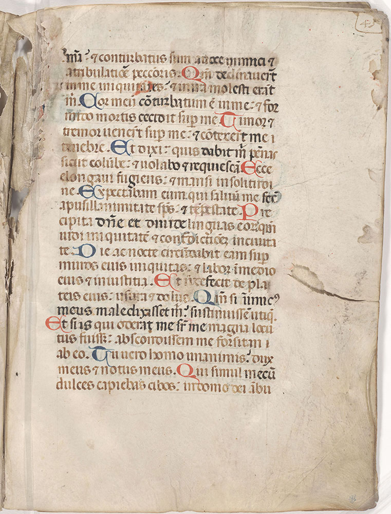 [Psalter of the Breviary]