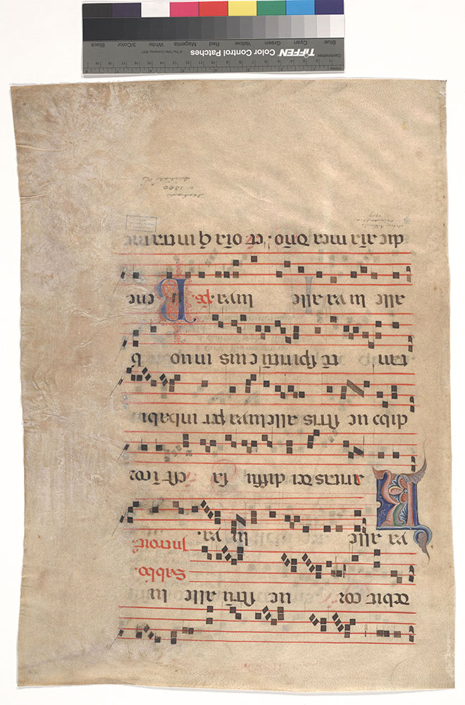 [Gradual: Friday and Saturday after Pentecost]