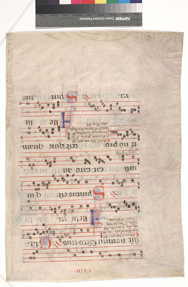 [Gradual: Friday and Saturday after Pentecost]