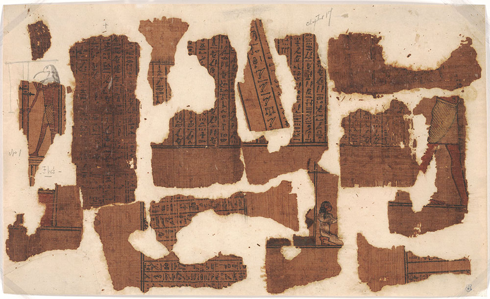 [Papyrus Fragments with Hieroglyphs]