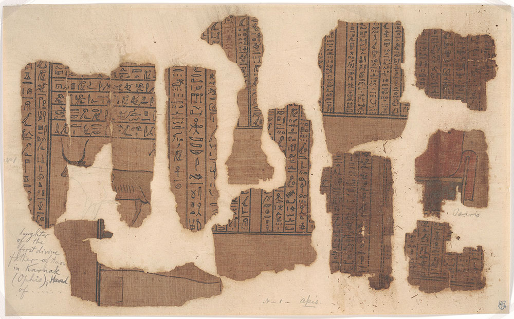 [Papyrus Fragments with Hieroglyphs]