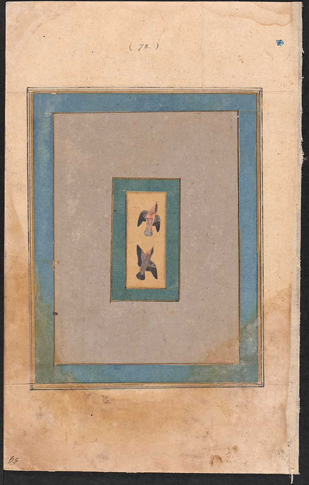 Painting of Two Brahminy Mynas