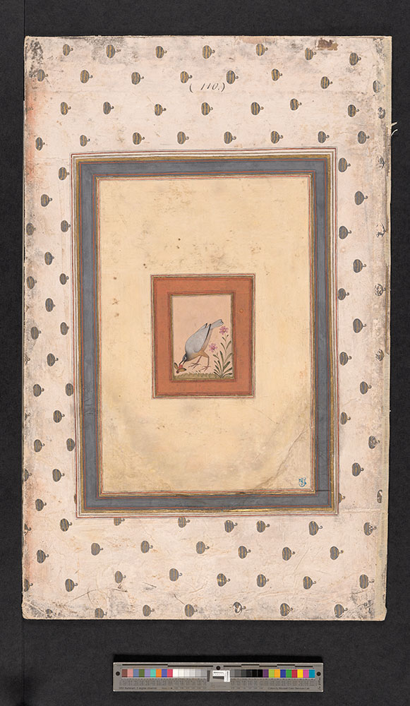 Painting of a Grey Bird Catching a Fly