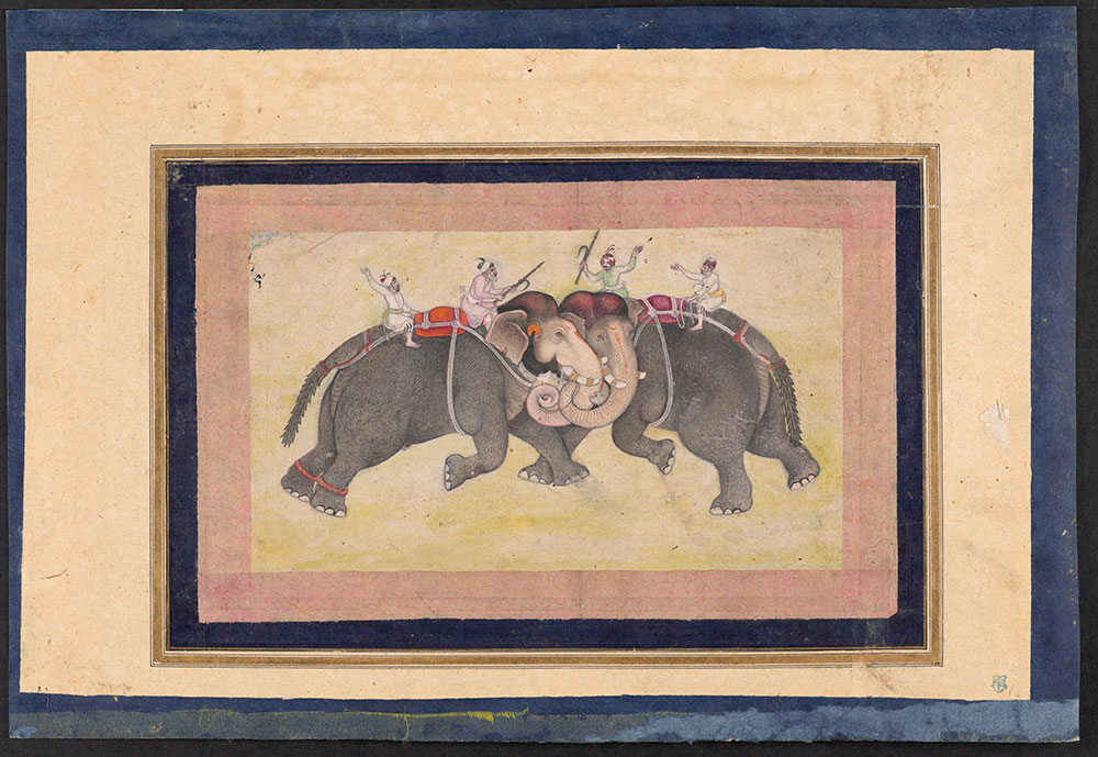 Painting of Two Elephants Fighting