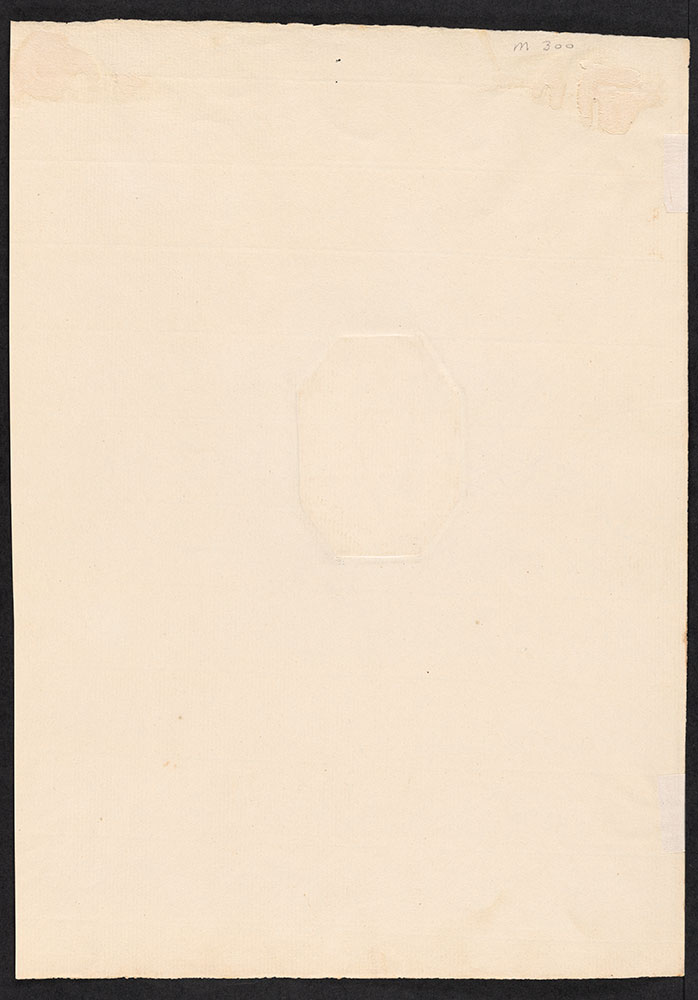 Octagonal Portrait of Unidentified Seated Man (Back)