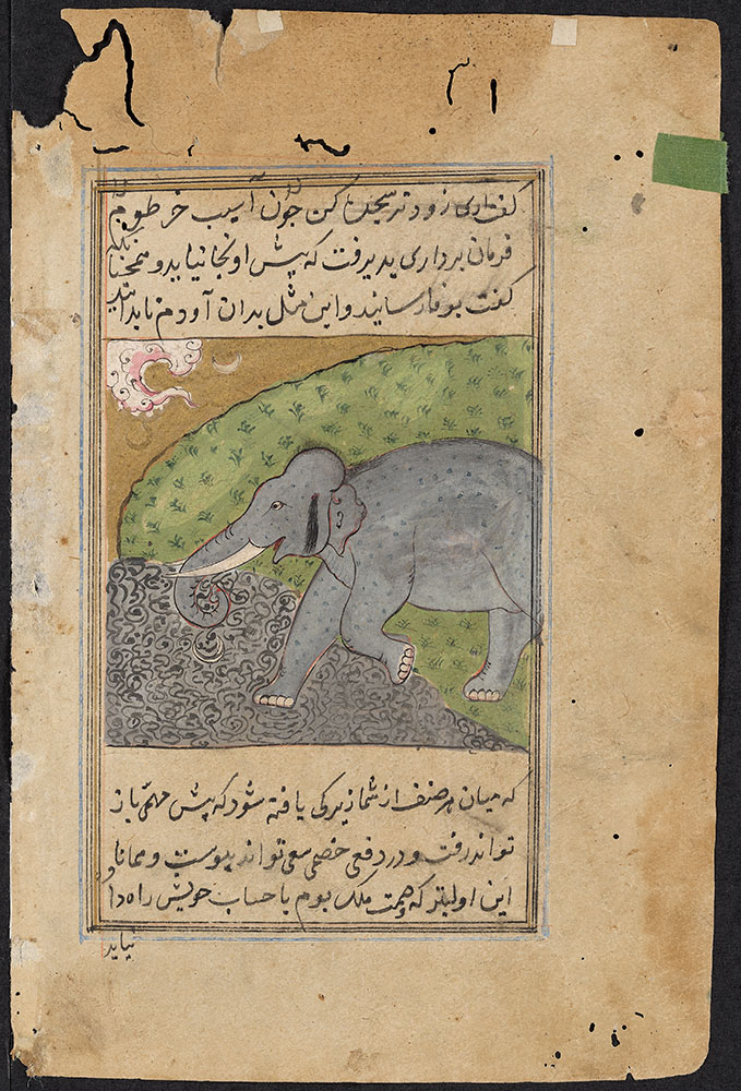 Kalila wa-Dimna Leaf, the Story of the Elephant and His Friends