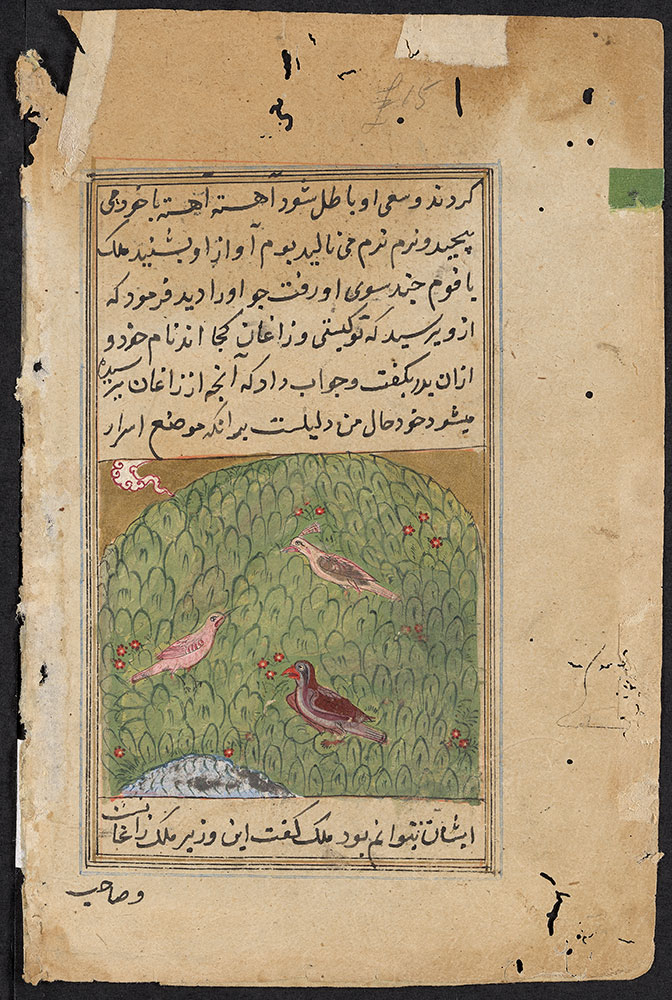 Kalila wa-Dimna Leaf, the Story of the Peacock and the Crows