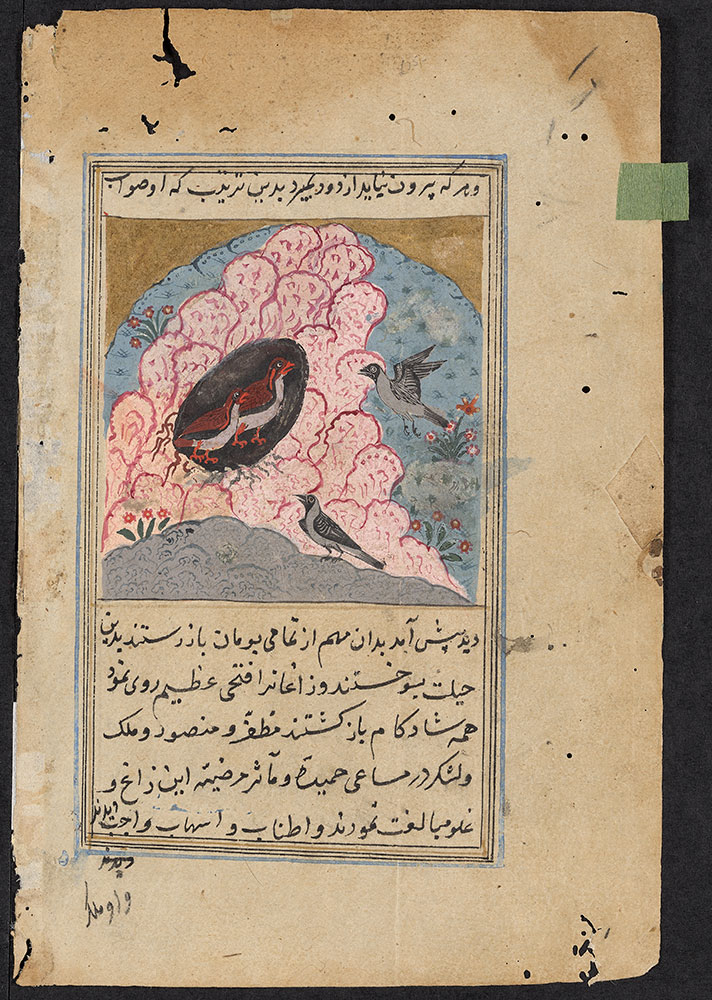 Kalila wa-Dimna Leaf, the Story of the Crows and the Pheasants