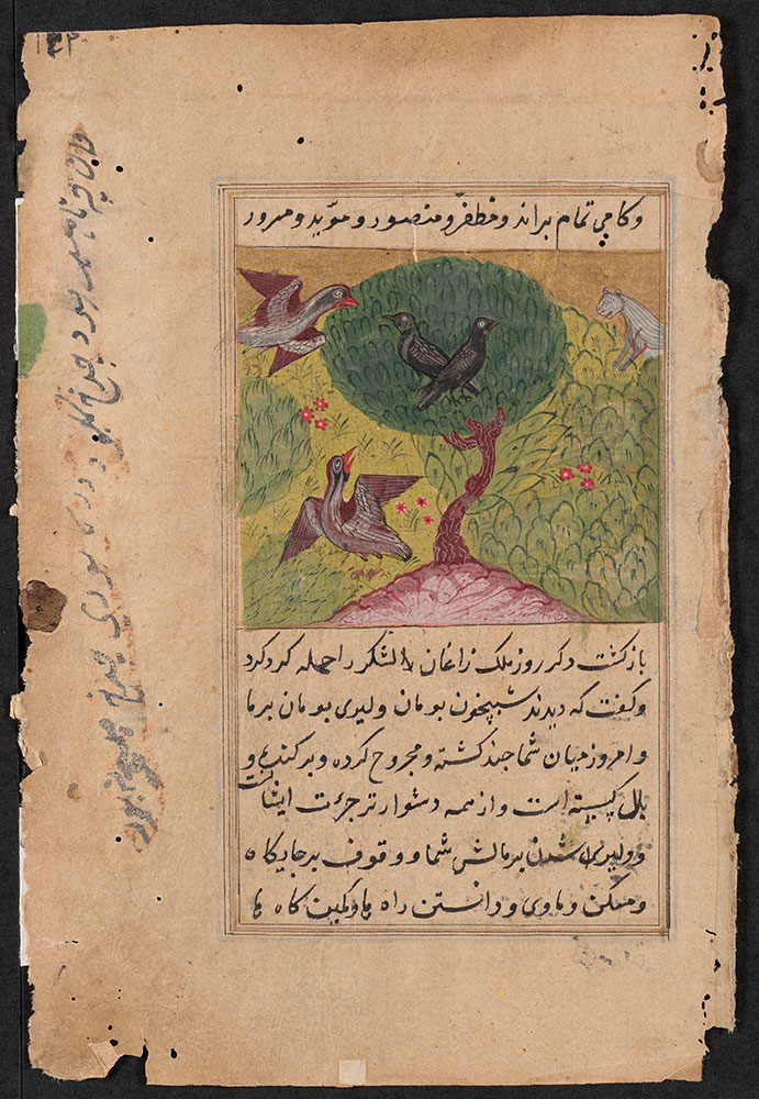 Kalila wa-Dimna Leaf, the Story of the Crows and the Lion