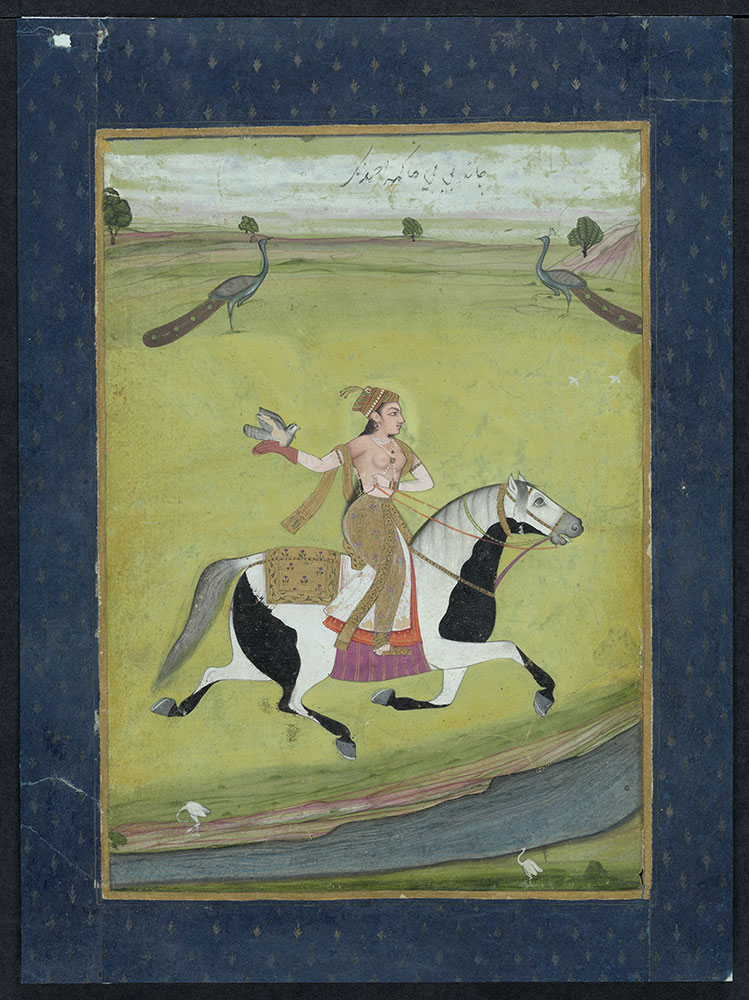 Portrait of Chand Bibi on Horseback with Her Bird and Two Peacocks