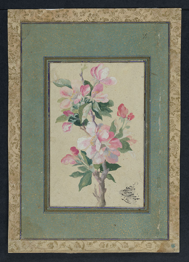 Painting of Apple Blossoms