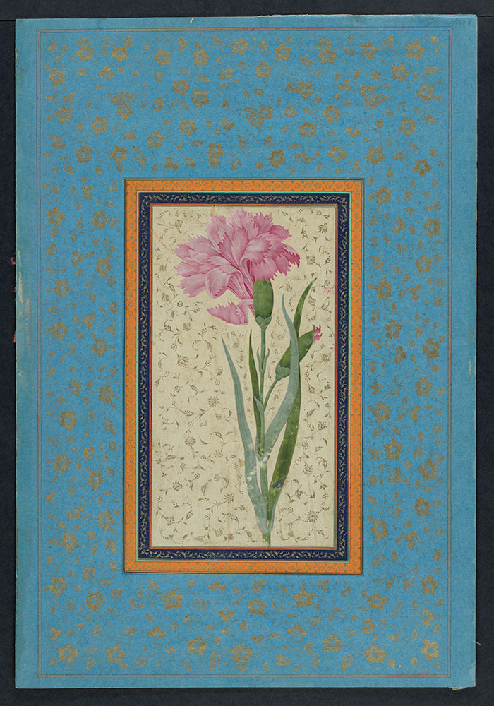 Painting of a Carnation