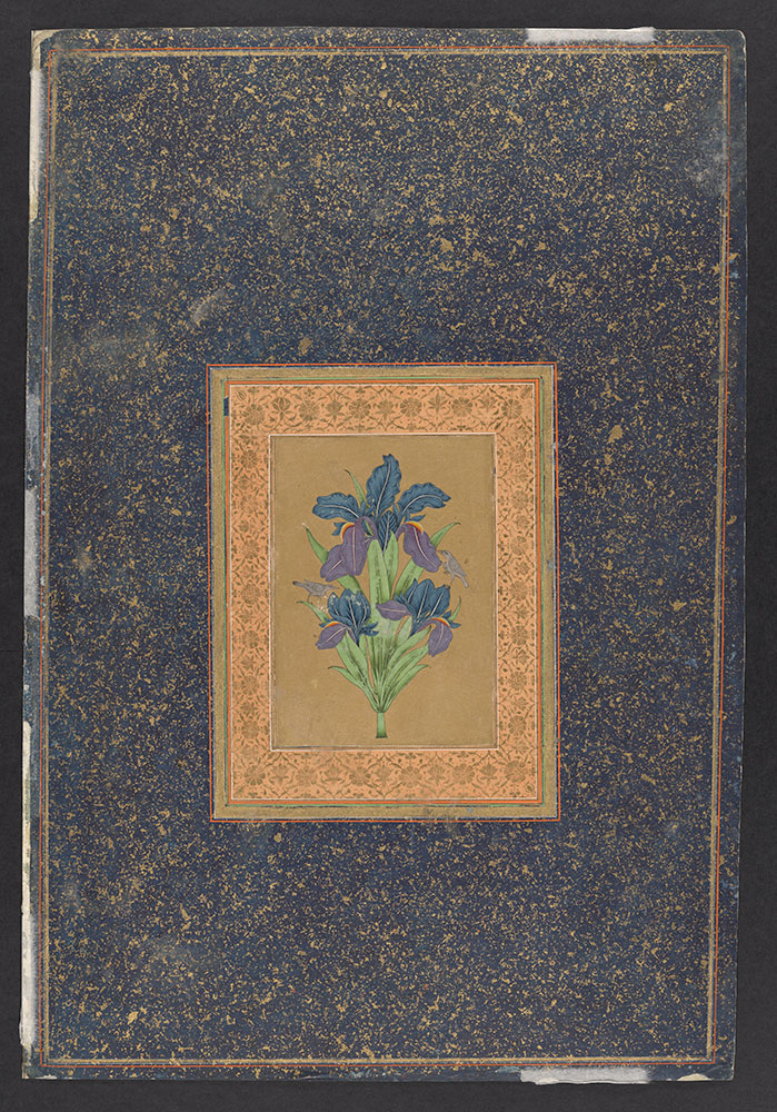 Mughal painting (Back)