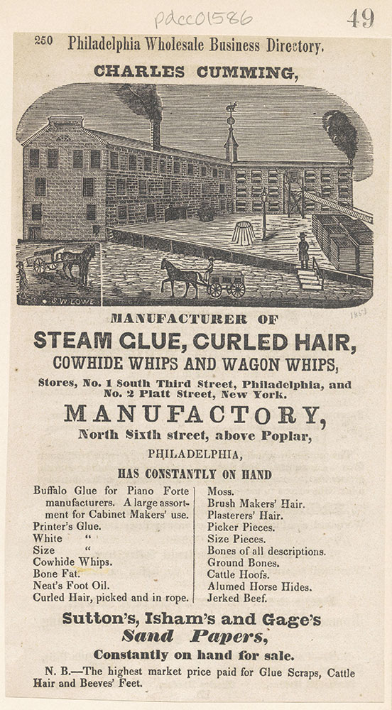 Charles Cumming, manufacturer of steam glue, curled hair, cowhide whips, etc [graphic]