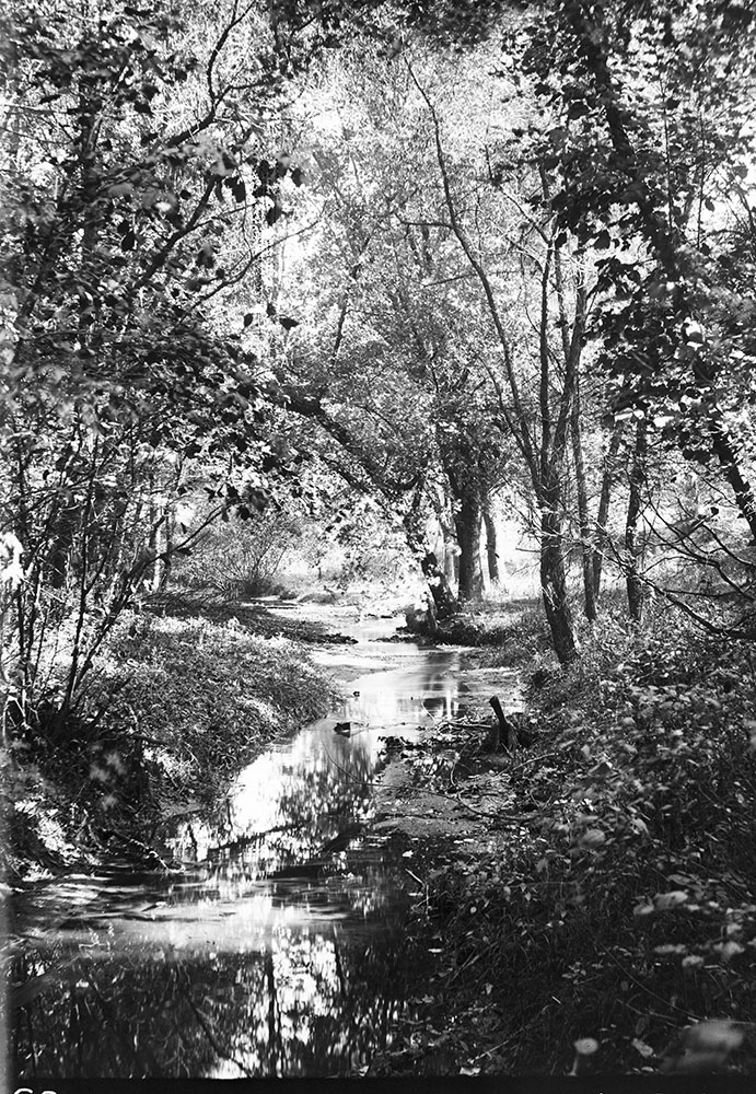 On Cresheim Creek near Devil's Pool