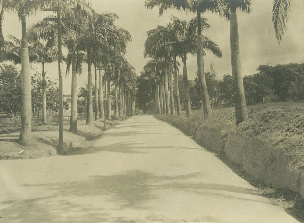 An Avenue, Bridgetown, Barbados