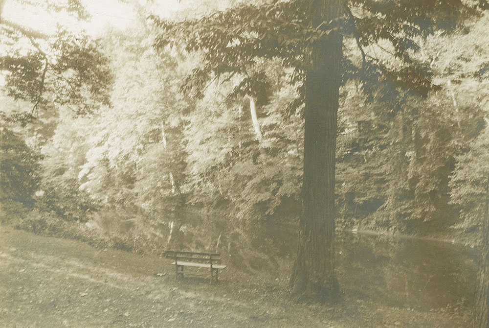 Landscape with Bench