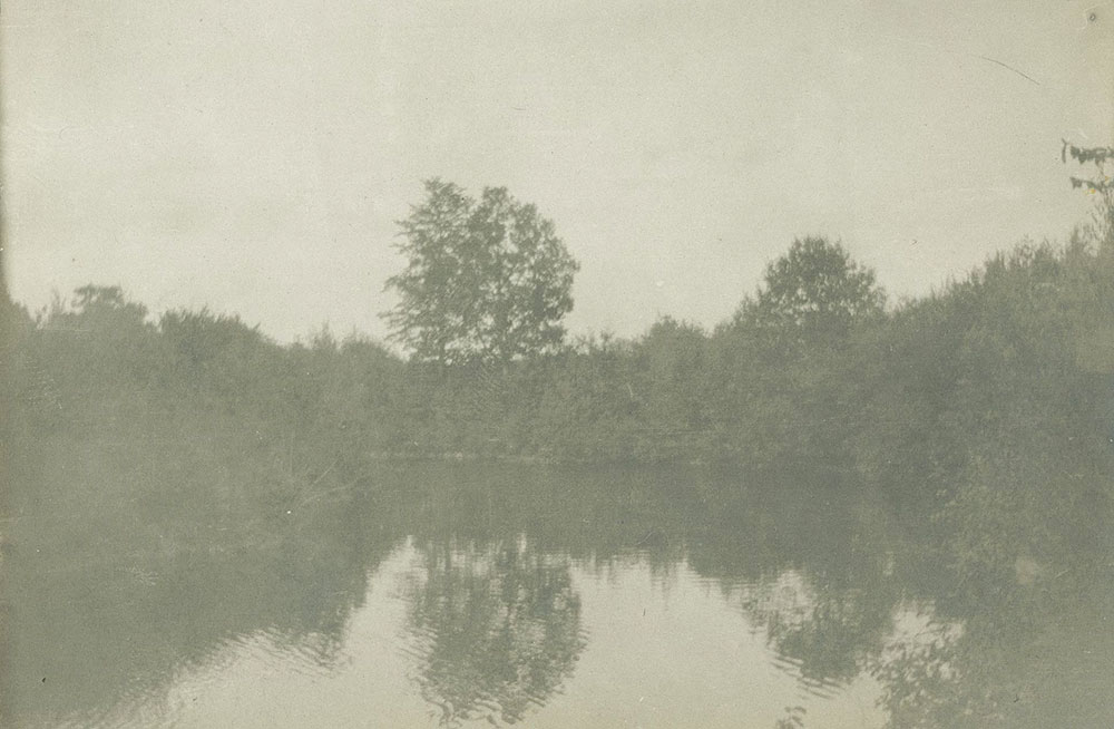 Water Scene with Trees