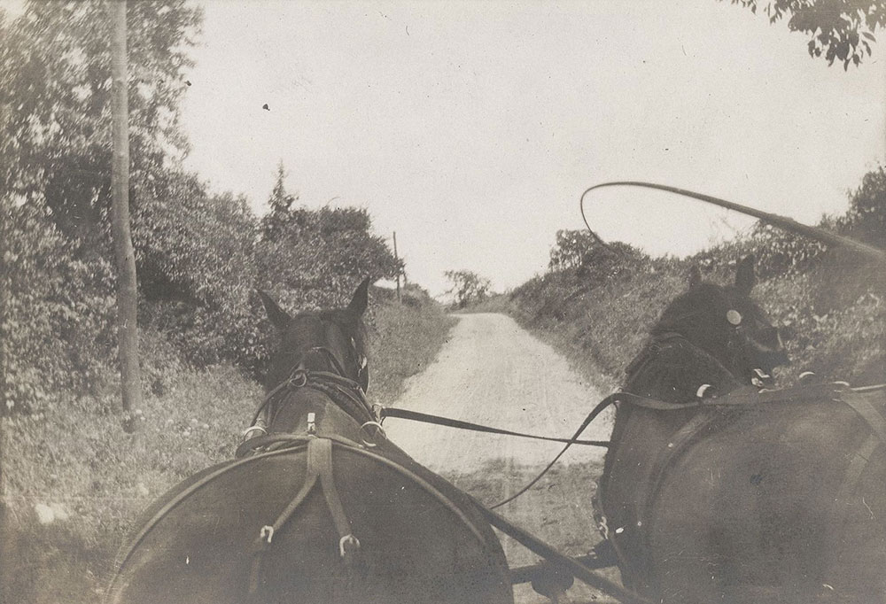 Road with Horses