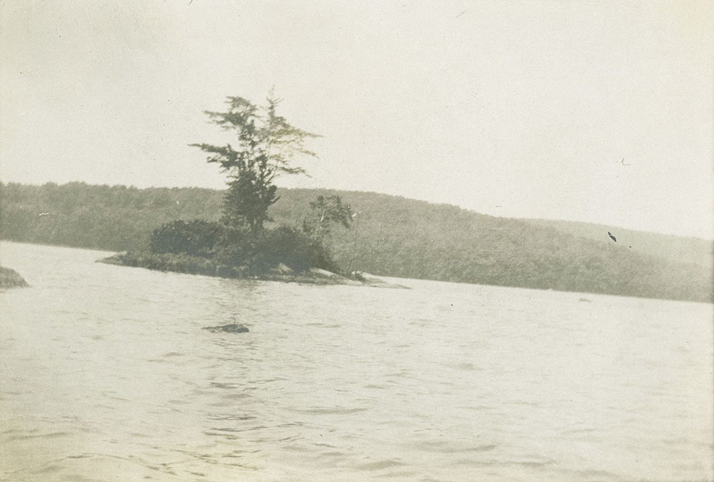 Island in Lake Oscawana