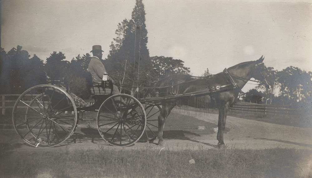 Horse, driver and carriage