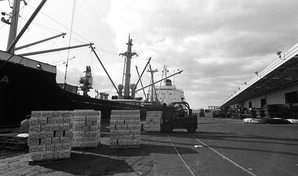 Ship yard