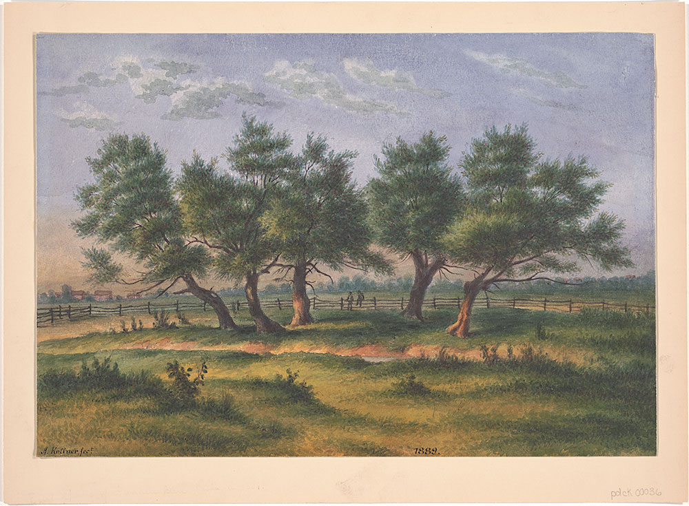 {East Spring of Gunner's Run Phila in 1889 from Nature by A. Kollner}